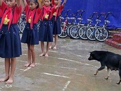Post cover 1086256