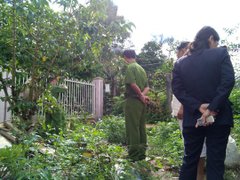 Post cover 1086448
