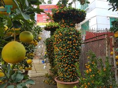 Post cover 1086543