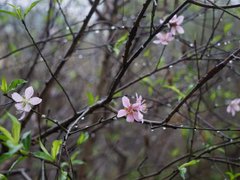 Post cover 1086951
