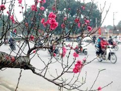 Post cover 1087074