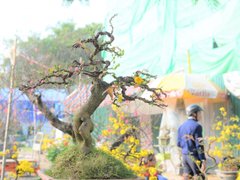 Post cover 1087713