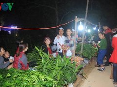 Post cover 1088366
