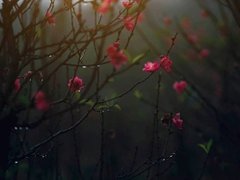 Post cover 1088735