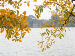Post cover 1088885