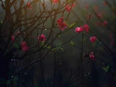 Post cover 1089115