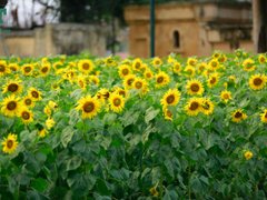 Post cover 1090738
