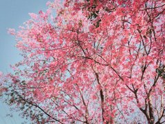 Post cover 1089449