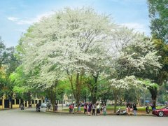 Post cover 1090257