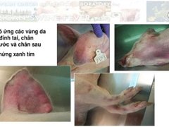 Post cover 1090578