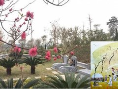 Post cover 1090662