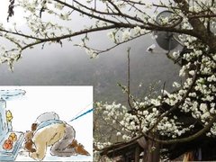 Post cover 1090646