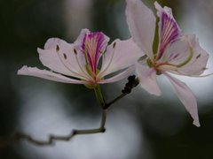 Post cover 1090888