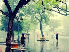 Post cover 1091029