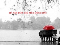 Post cover 1091171