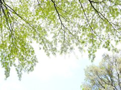 Post cover 1091187