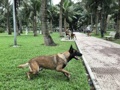 Post cover 1093375