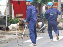 Post cover 1093766