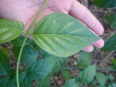Post cover 1095096