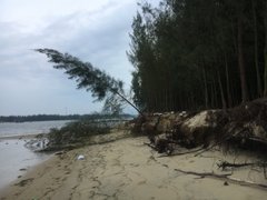 Post cover 1095273