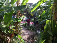 Post cover 1095471