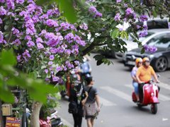 Post cover 1095594
