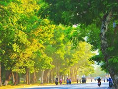 Đọc nhanh bài viết 1096027