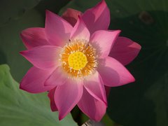 Post cover 1070778
