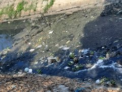 Post cover 1096276