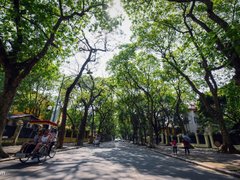 Post cover 1096277