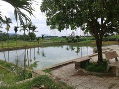 Post cover 1096486