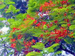 Post cover 1096553