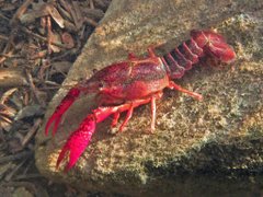Post cover 1096503