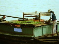 Post cover 1096590