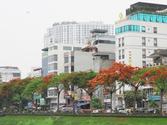 Post cover 1096540