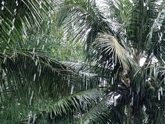 Post cover 1097065