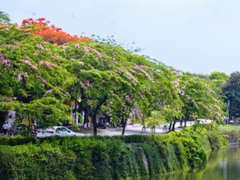 Post cover 1097455