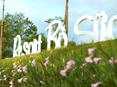 Post cover 1097579