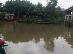 Post cover 1097646