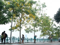 Post cover 1097888