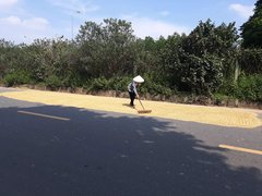Post cover 1098028
