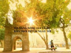 Post cover 1098499