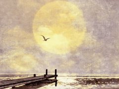 Post cover 1098759