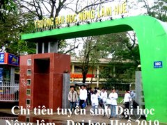 Post cover 1099436