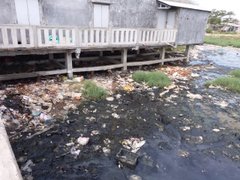 Post cover 1099583
