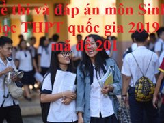 Post cover 1099901