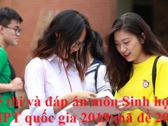 Post cover 1099912