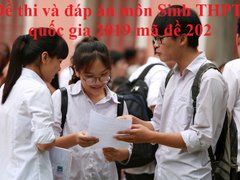 Post cover 1099954