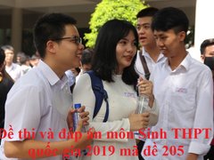 Post cover 1099921