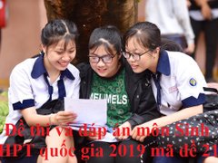 Post cover 1099925